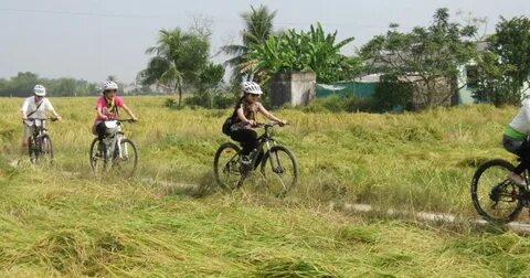 Làm Video Ngắn – Vừa Sáng Tạo, Vừa Kiếm Tiền Với Công Cụ Hữu Ích_đoạn ngắn hướng dẫn video